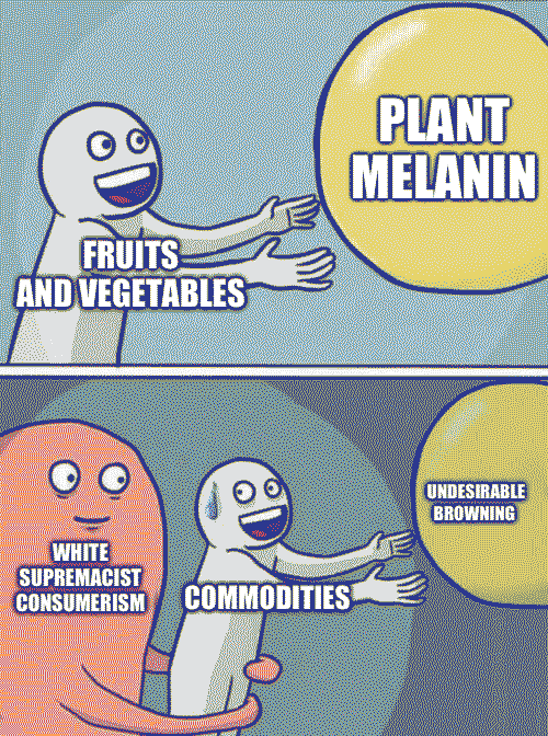 The meme towards the posthuman idea of race as a viscous assemblage