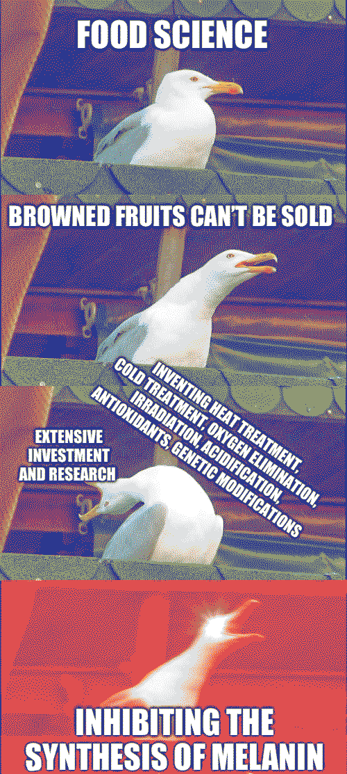 The meme towards the posthuman idea of race as a viscous assemblage