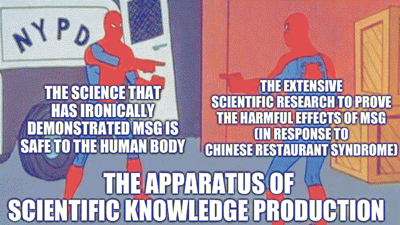 The meme towards the posthuman idea of race as a viscous assemblage