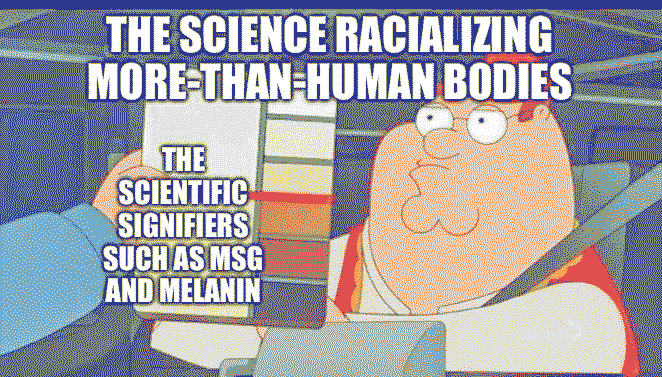 The meme towards the posthuman idea of race as a viscous assemblage